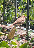 Botanical Garden of Lisbon