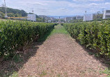 Parque Eduardo VII