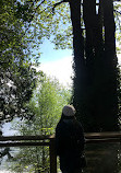 Whytecliff Park Playground