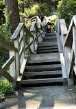 Whytecliff Park Playground