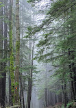 Lawson Creek Trail