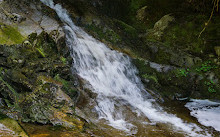 Lawson Creek Trail