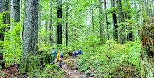 Lawson Creek Trail