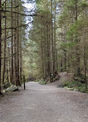 Shinglebolt trail