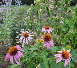 Carl Schurz Park