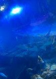 SEA LIFE Oberhausen