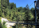 Seymour River Suspension Bridge