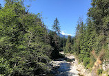 Seymour River Suspension Bridge