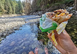 Seymour River Suspension Bridge