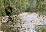 Seymour River Suspension Bridge