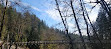 Seymour River Suspension Bridge