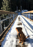 Seymour River Suspension Bridge