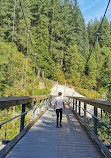 Seymour River Suspension Bridge