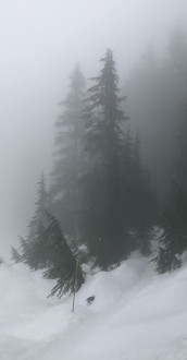 Mystery Lake Trail