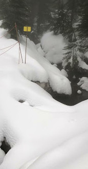 Mystery Lake Trail