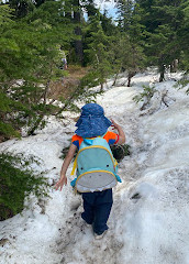 Mystery Lake Trail