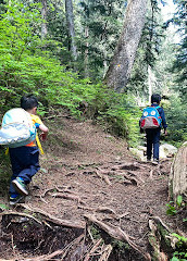 Mystery Lake Trail