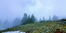 Mystery Lake Trail