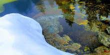 Mystery Lake Trail