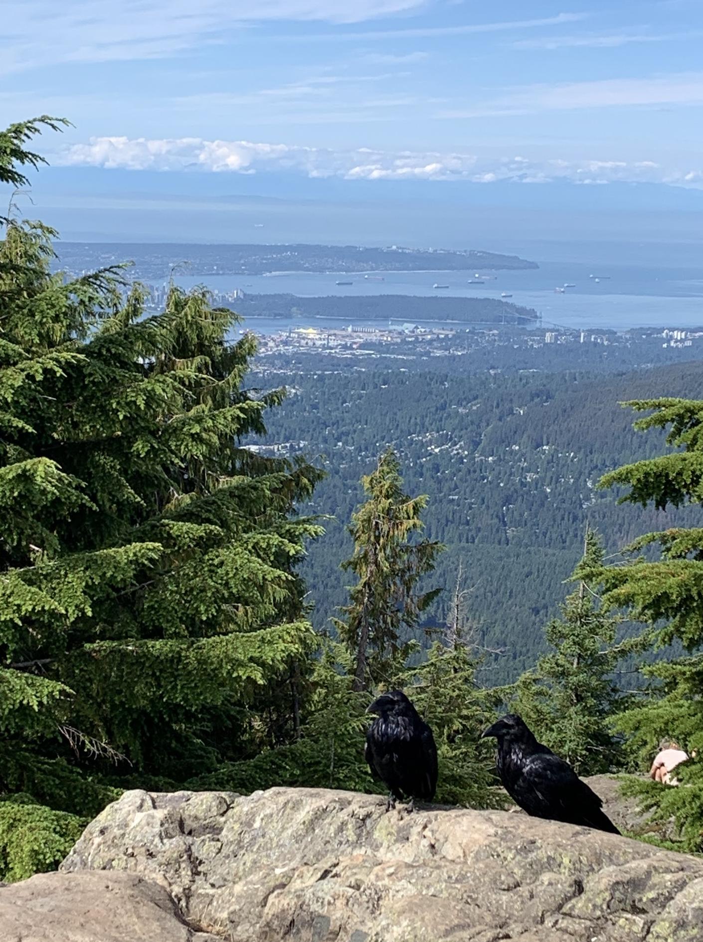 Dog Mountain Viewpoint