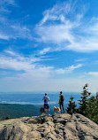 Dog Mountain Viewpoint