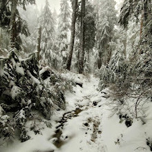 Dog Mountain Viewpoint