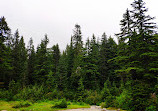 Dog Mountain Viewpoint