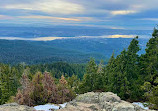 Dog Mountain Viewpoint