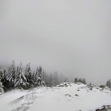 Dog Mountain Viewpoint