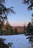 Dog Mountain Viewpoint