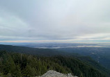 Dog Mountain Viewpoint