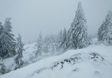 Dog Mountain Viewpoint