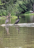 Park Rivière-des-Mille-Îles