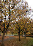 Japanischer Garten