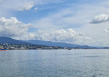 The Port of Vancouver Lookout