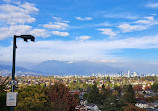 Arbutus Lookout