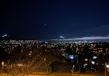 Arbutus Lookout