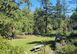 Whytecliff Park Scuba Diving Site