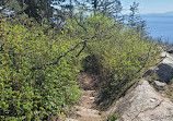 Whytecliff Park Scuba Diving Site