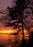 SW Marine Dr Viewpoint