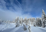 Cabin Lake