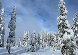 Cabin Lake