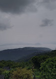 Tagaytay Picnic Grove