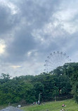 Tagaytay Picnic Grove