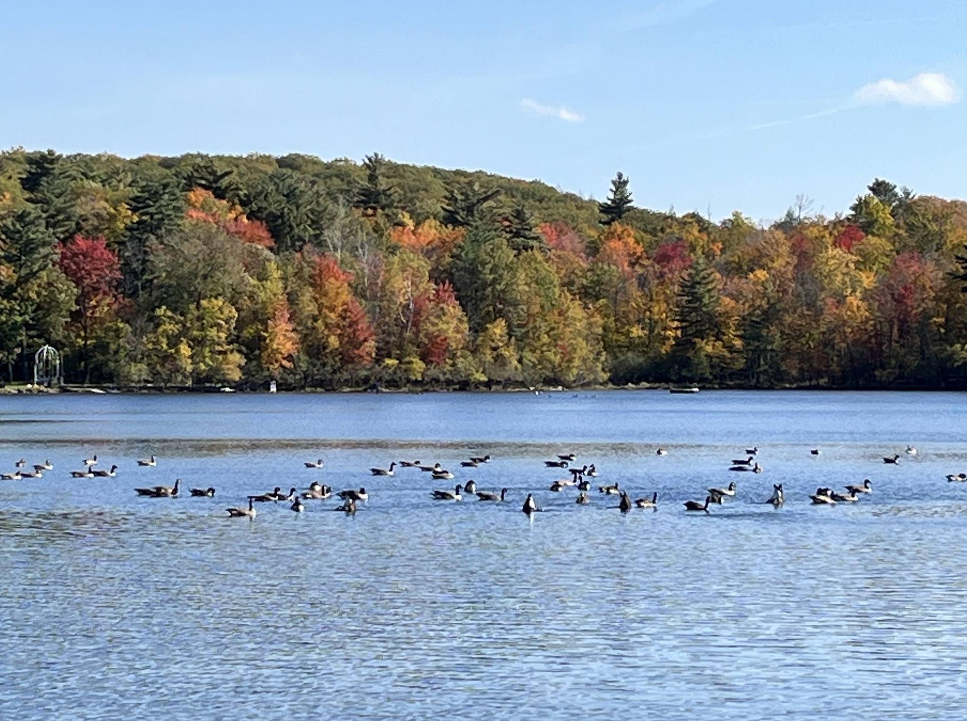 Parc national du Mont-Saint-Bruno