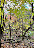 Parc national du Mont-Saint-Bruno