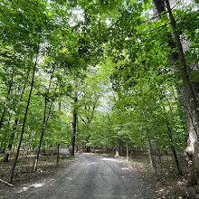 Parc national du Mont-Saint-Bruno