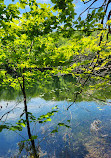 Parc national du Mont-Saint-Bruno