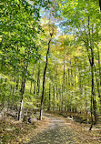 Parc national du Mont-Saint-Bruno