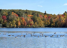 Parc national du Mont-Saint-Bruno